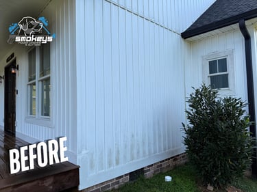 A white vinyl house before a soft wash