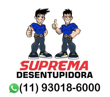Desentupidora Zona Norte logo