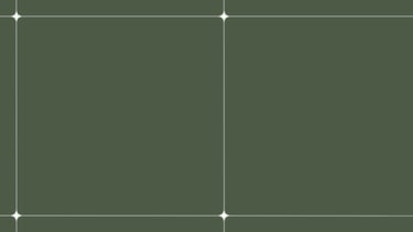 Bannière boutique Xirkys présentant un portrait hybride floral. Œuvres uniques crées à Pléneuf