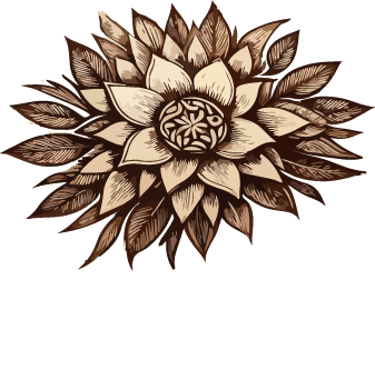 Natural Cards logo