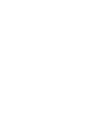 Academia de Líderes do Brasil logo