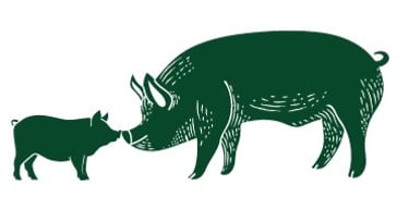 Santuario Animal Libre logo