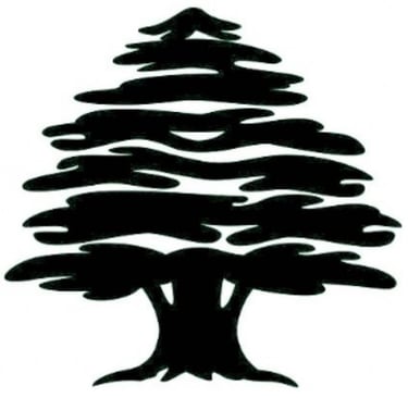 Sumit Consulting Group logo