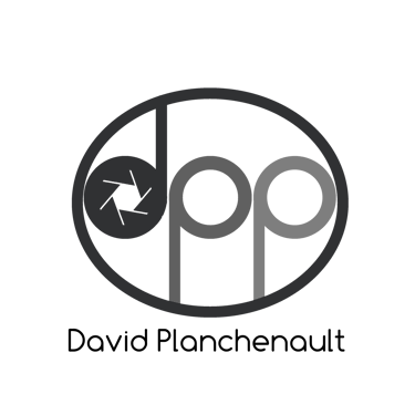 David Planchenault logo