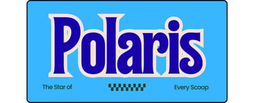 Polaris Painting logo