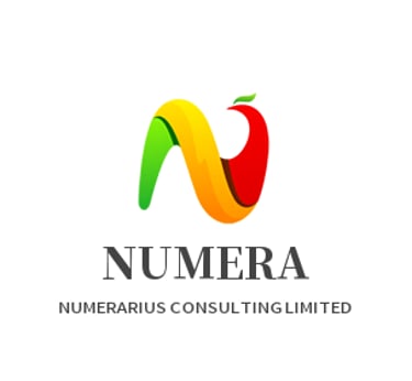 NUMERARIUS CONSULTING LIMITED logo