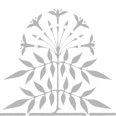 Tayyab Khan logo
