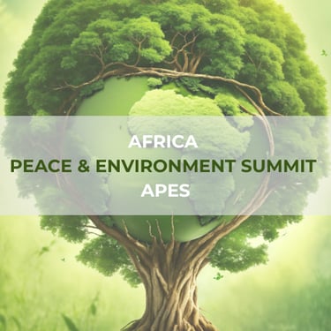 Africa Peace & Environment Summit logo