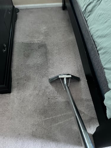 steamaster carpet cleaning bedroom in Mid Michigan