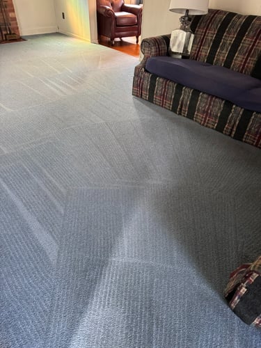 Livingroom cleaned by Steamaster in Mid-Michigan