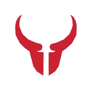 Dynamic Suspensions logo