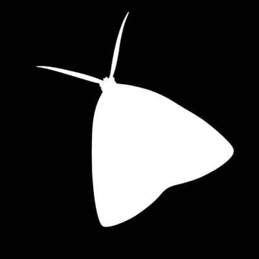 mothmansmilk logo