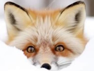 The Verbose Vixen logo