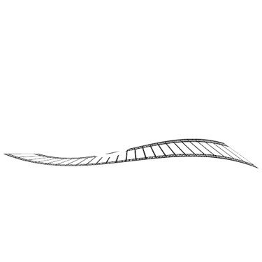 Peter Lim - Professional photography servicein Perth, Australia logo