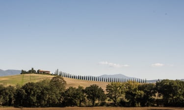 Side view of a tuscany farm with cypress trees