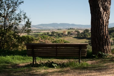 Behind a public chair looking onto a mountain view