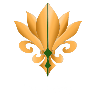 Envy Everyday logo