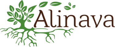 Alinava UAB logo