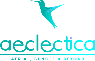 aeclectica - Aerial, Bungee & Beyond logo