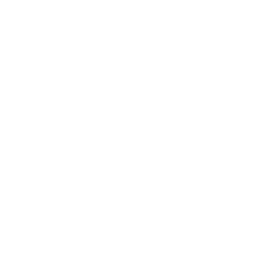 Zumi und Söhne Gartenbau Solothurn logo