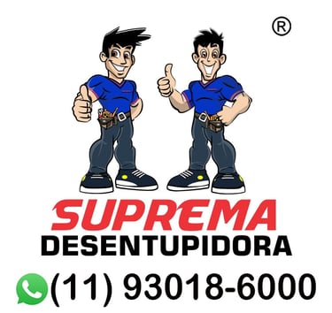 Desentupidora Santo Amaro logo