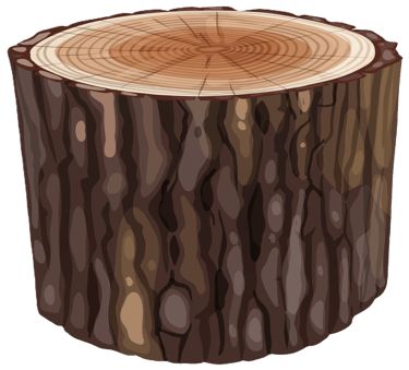 Дърва за Огрев Варна logo