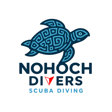 Diving Cozumel logo