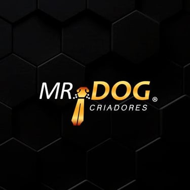 Mr. Dog logo