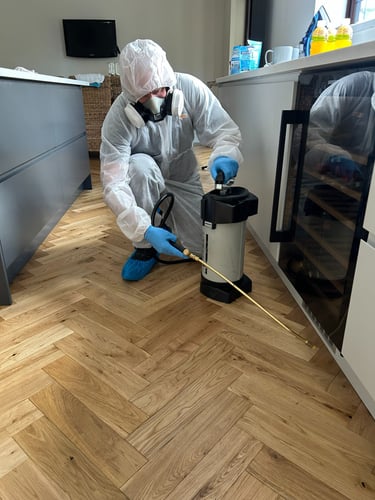 Professional insect eradication spray treatment in a kitchen 
