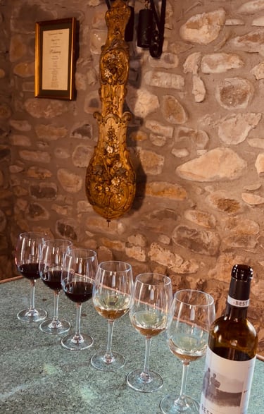 Cata de vinos