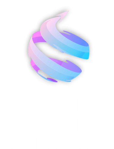 TOP1 world wide logo