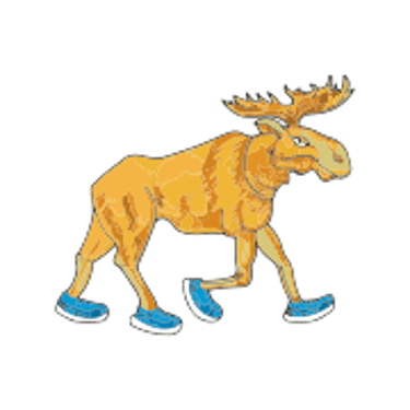Nidarun.lt logo