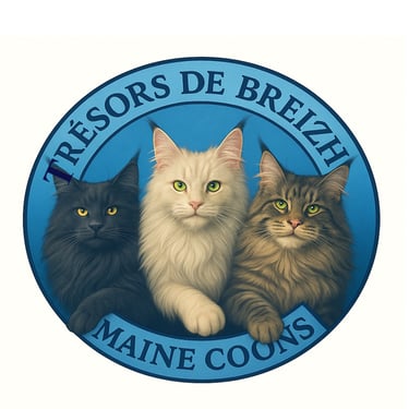 Trésors de Breizh logo
