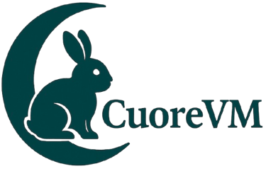 CuoreVM logo