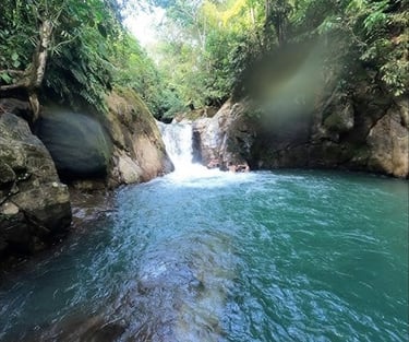 Salto las pavas