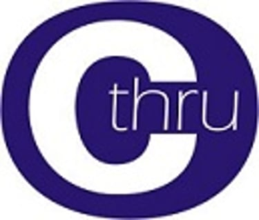 C Thru Window Cleaning Services, Exeter logo