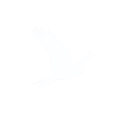 Red Kite Adventures logo