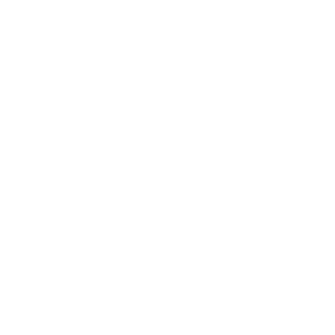 WSA - Wert Strategic Advisory logo