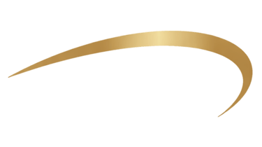 WSA - Wert Strategic Advisory logo