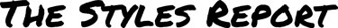 The Styles Report logo