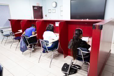 Students in cubicle