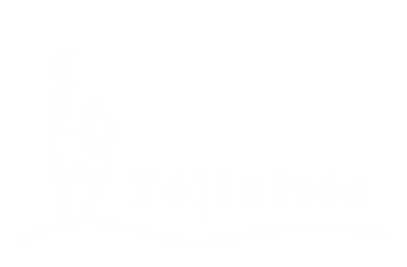 Félinités | Comportementaliste du chat | Rennes & Lannion logo