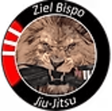 Projeto Phoenix Jiu Jitsu logo