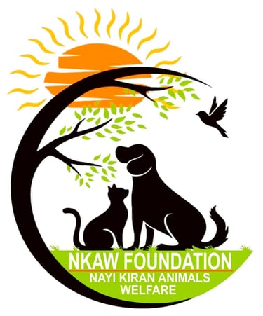 NKAW FOUNDATION logo