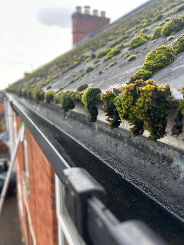 empty gutter clear