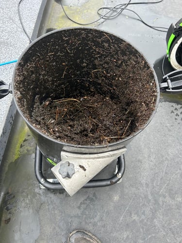 vacuum full of moss from gutters