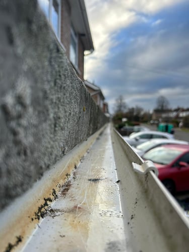clean gutter