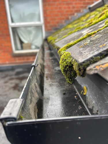 cleared out gutter