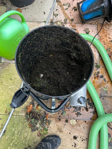 vacuum full of moss from gutters