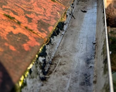 clean gutters